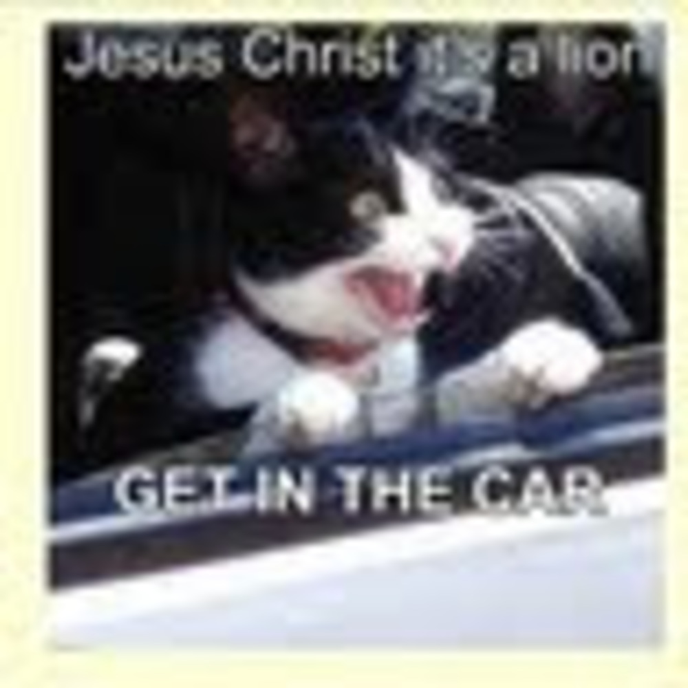 Meet your Posher, Misha